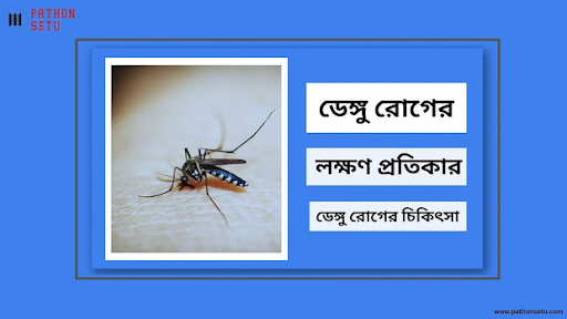 ডেঙ্গু রোগের বিস্তার কীভাবে ঘটে?